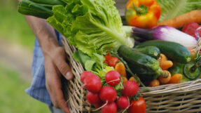 Learn About the Health Benefits of Growing Your Own Food