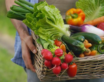 Learn About the Health Benefits of Growing Your Own Food