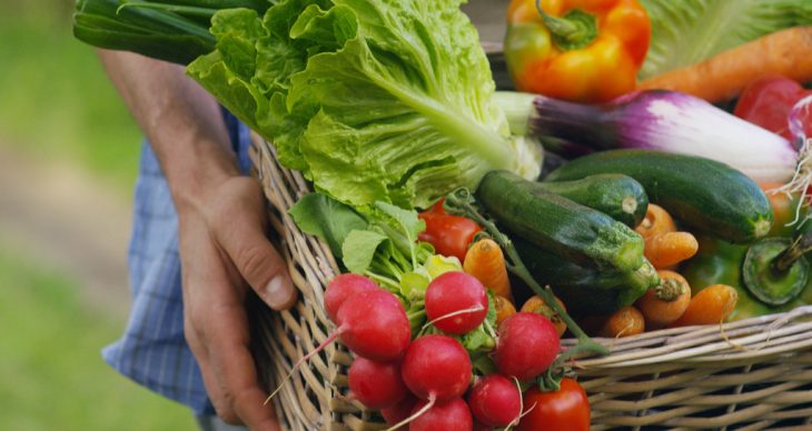Learn About the Health Benefits of Growing Your Own Food