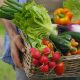Learn About the Health Benefits of Growing Your Own Food