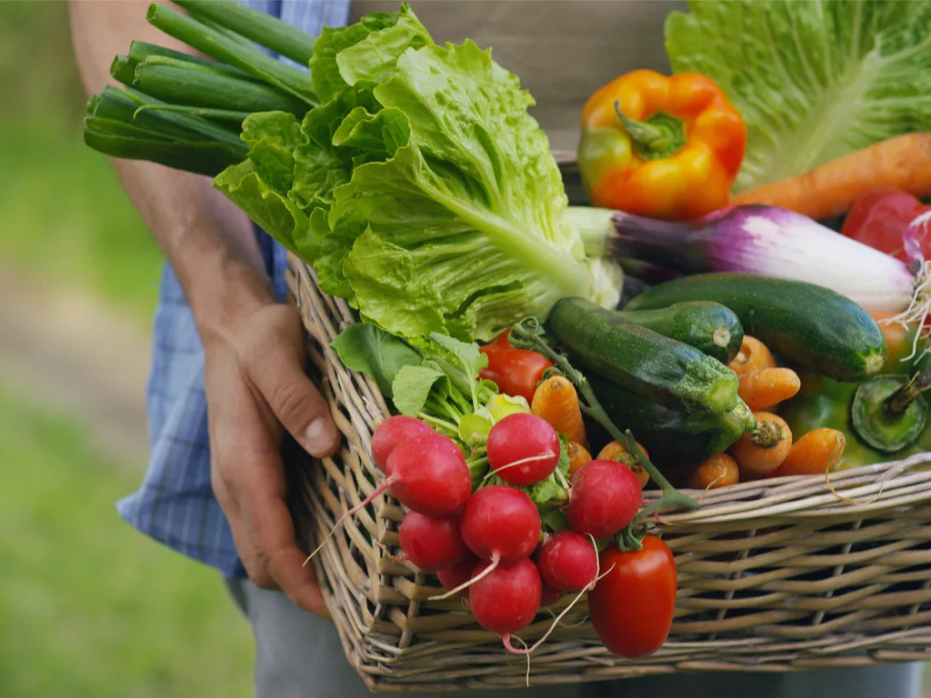 Learn About the Health Benefits of Growing Your Own Food