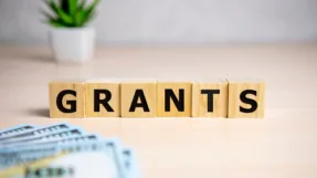 What Are Government Grants?