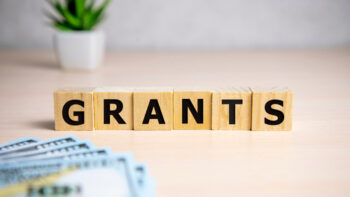 What Are Government Grants?