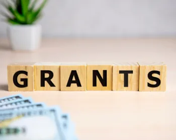 What Are Government Grants?
