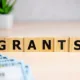 What Are Government Grants?